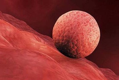 泰国三代试管婴儿机构：专业排名与优选指南