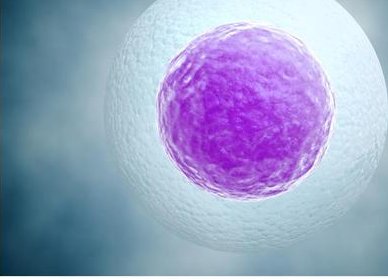 想去泰国nic进行试管婴儿要什么条件？了解清楚少走弯路！