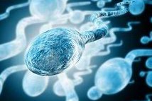 不孕不育在大理市做试管的费用有多少？一文告诉你做三代试管建档的流程有哪些