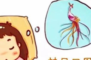 死精率80%的男性可以在雷州市做三代试管吗？公开2026做三代试管条件