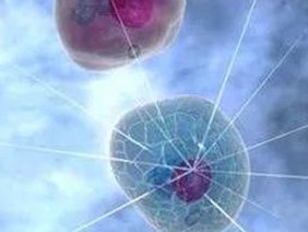 海南试管婴儿真实记录（海南试管婴儿真实记录最新）